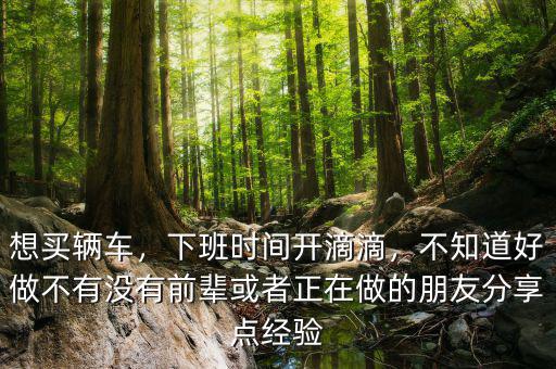想買輛車，下班時間開滴滴，不知道好做不有沒有前輩或者正在做的朋友分享點經驗