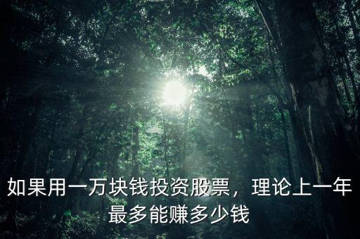 如果用一萬塊錢投資股票，理論上一年最多能賺多少錢