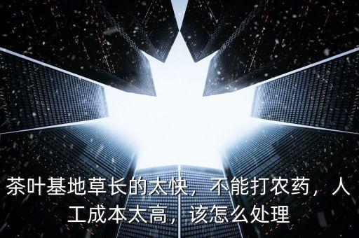 茶葉基地草長(zhǎng)的太快，不能打農(nóng)藥，人工成本太高，該怎么處理