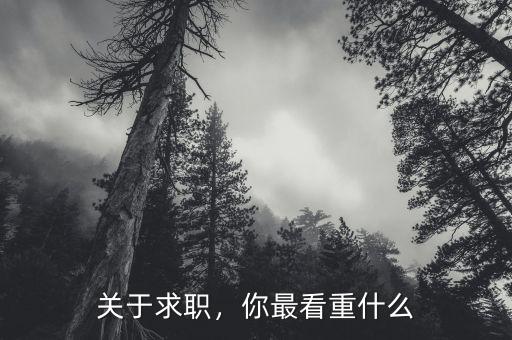 關(guān)于求職，你最看重什么