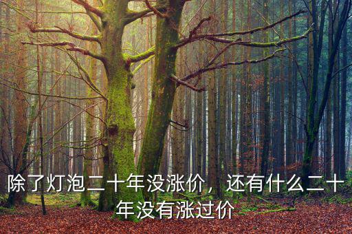 除了燈泡二十年沒漲價，還有什么二十年沒有漲過價