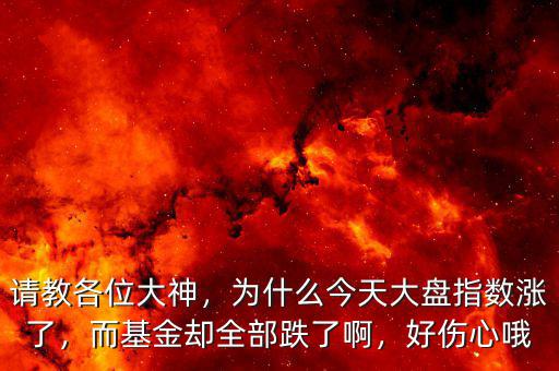 請(qǐng)教各位大神，為什么今天大盤指數(shù)漲了，而基金卻全部跌了啊，好傷心哦