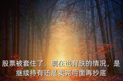 股票被套住了，現(xiàn)在也有跌的情況，是繼續(xù)持有還是賣完后面再抄底