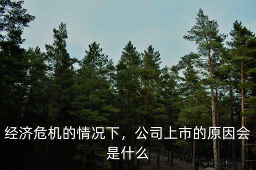 經(jīng)濟(jì)危機(jī)的情況下，公司上市的原因會是什么