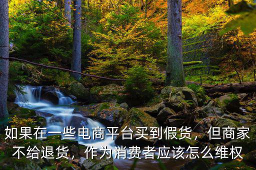 如果在一些電商平臺(tái)買(mǎi)到假貨，但商家不給退貨，作為消費(fèi)者應(yīng)該怎么維權(quán)