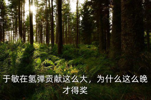 于敏在氫彈貢獻(xiàn)這么大，為什么這么晚才得獎(jiǎng)