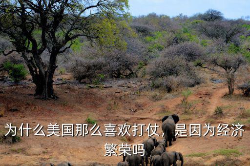 為什么美國那么喜歡打仗，是因為經(jīng)濟繁榮嗎