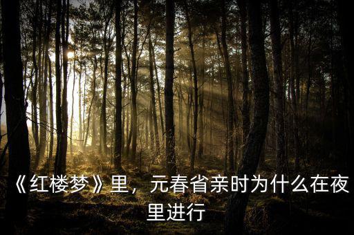 《紅樓夢》里，元春省親時為什么在夜里進行