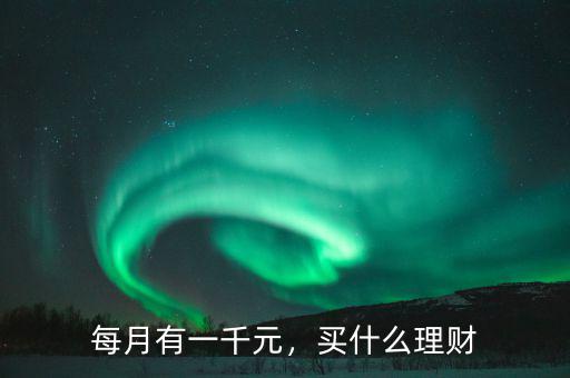 每月有一千元，買什么理財