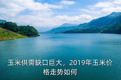 玉米供需缺口巨大，2019年玉米價(jià)格走勢如何