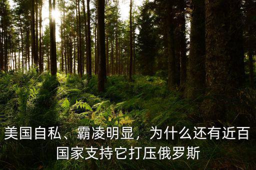 美國(guó)自私、霸凌明顯，為什么還有近百國(guó)家支持它打壓俄羅斯