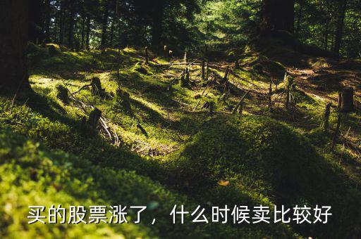 買的股票漲了，什么時候賣比較好