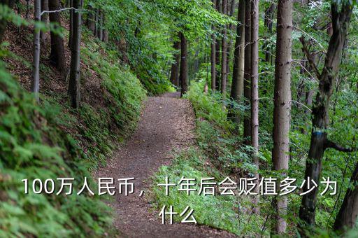 100萬人民幣，十年后會貶值多少為什么