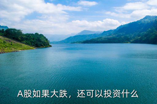 A股如果大跌，還可以投資什么