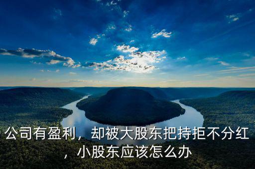 公司有盈利，卻被大股東把持拒不分紅，小股東應(yīng)該怎么辦