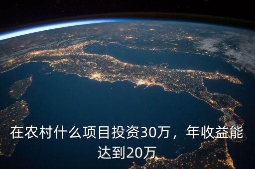 在農(nóng)村什么項目投資30萬，年收益能達到20萬