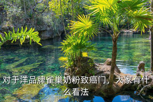 對于洋品牌雀巢奶粉致癌門，大家有什么看法
