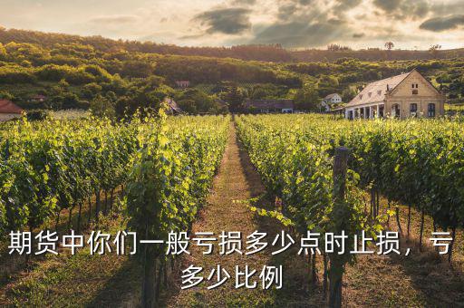 期貨中你們一般虧損多少點(diǎn)時(shí)止損，虧多少比例
