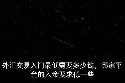 外匯交易入門最低需要多少錢，哪家平臺(tái)的入金要求低一些