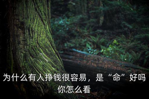 為什么有人掙錢很容易，是“命”好嗎你怎么看