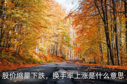 股價縮量下跌，換手率上漲是什么意思