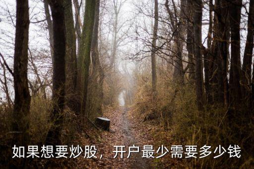 如果想要炒股，開戶最少需要多少錢
