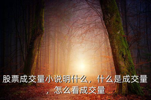 股票成交量小說明什么，什么是成交量，怎么看成交量