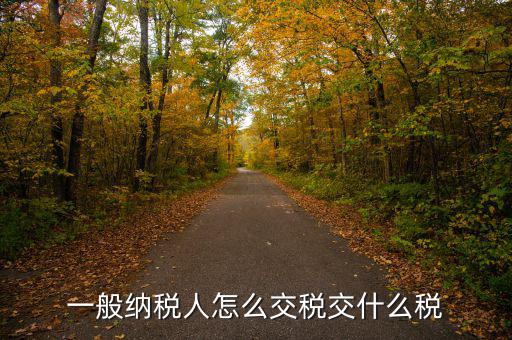 稅友可以繳納什么稅，一般納稅人應(yīng)該交什么稅稅率是多少啊
