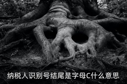 c級納稅人是什么意思，納稅人識別號結尾是字母C什么意思