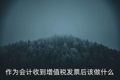 作為會計(jì)收到增值稅發(fā)票后該做什么