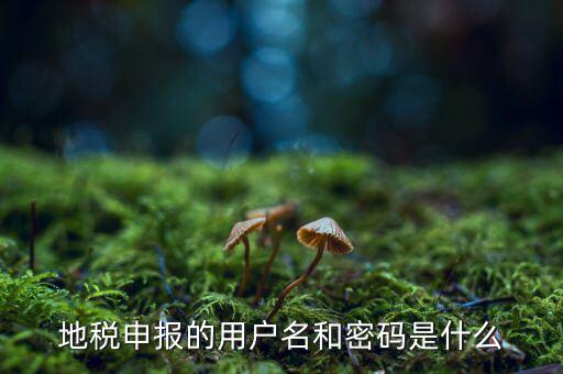 地稅申報(bào)的用戶(hù)名和密碼是什么