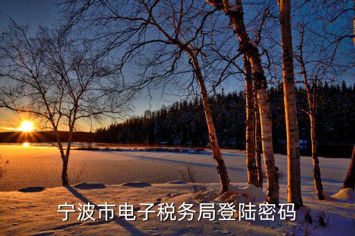 電子稅務默認登錄密碼是什么，稅務局網站的登入賬戶初始密碼是什么