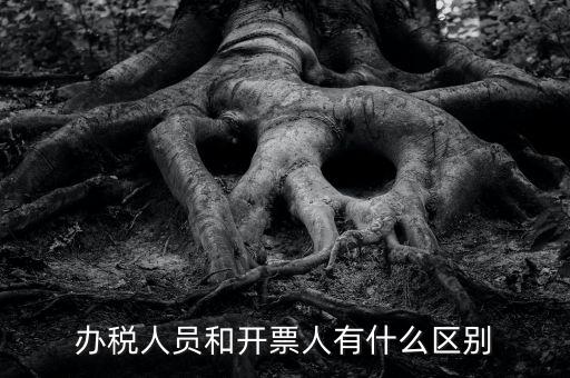 辦稅人員是什么，辦稅人員和開票人有什么區(qū)別
