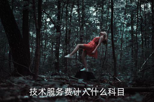 技術(shù)服務(wù)收入計入什么科目，收到技術(shù)服務(wù)費(fèi)計入什么科目