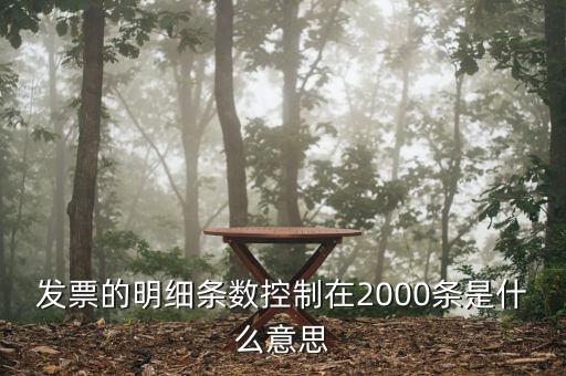 發(fā)票明細(xì)什么意思，發(fā)票的明細(xì)條數(shù)控制在2000條是什么意思