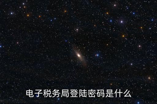 納稅人登路的密碼是什么，國稅第一次網(wǎng)上申報的登陸密碼是什么