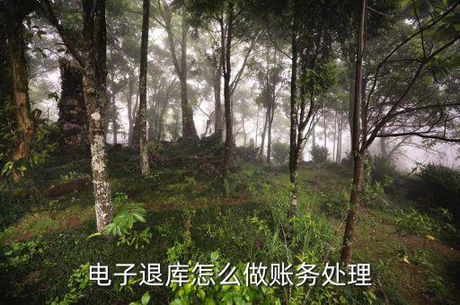地稅電子退庫入什么科目，電子退庫款退稅款的會(huì)計(jì)分錄怎么做求解答