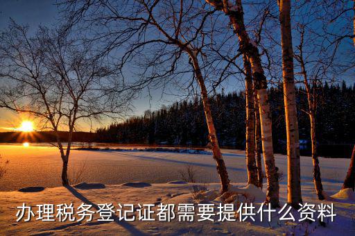 稅務(wù)登記都需要什么資料，辦理稅務(wù)登記證都需要提供什么資料