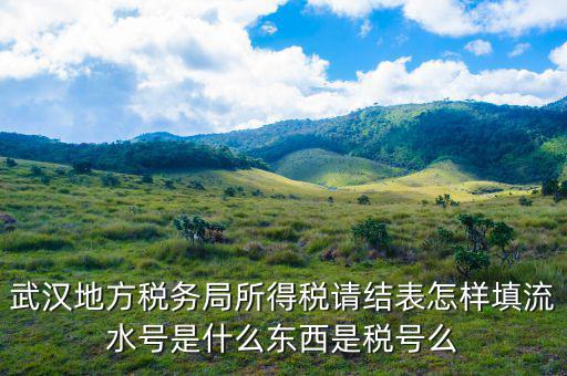 地稅流水號(hào)是什么，納稅人流水號(hào)是什么