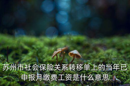 社保已申報(bào)是什么意思，新手求助請問網(wǎng)上申報(bào)是什么意思