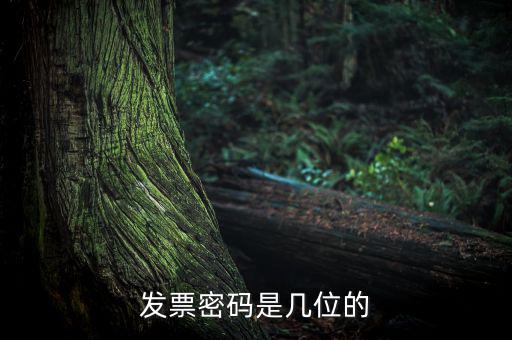 普通發(fā)票密碼是什么，國稅局發(fā)票軟件里用戶代碼和密碼是什么