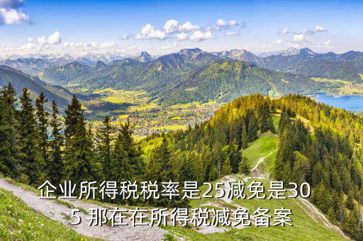 增值稅優(yōu)惠什么備案表，增值稅減免稅備案需要哪些資料