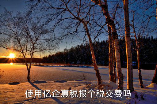深圳億企惠稅報(bào)什么稅，稅友億企惠稅是用來申報(bào)地稅還是國稅