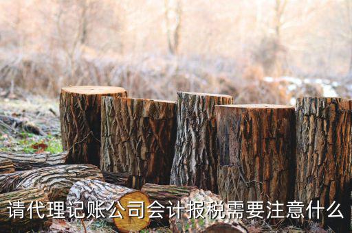 給純地稅做賬注意什么，繳的地稅怎么做帳