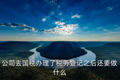 國(guó)稅辦完之后辦什么，公司去國(guó)稅辦理了稅務(wù)登記之后還要做什么