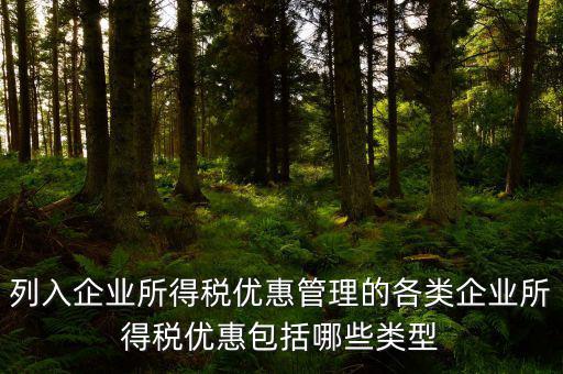 企業(yè)所得稅優(yōu)惠事項名稱指什么，享受企業(yè)所得稅優(yōu)惠申請表中稅收優(yōu)惠事項名稱怎么填