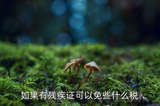 殘疾人免征什么稅，如果有殘疾證可以免些什么稅