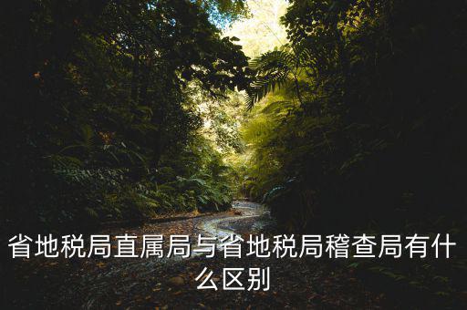 什么是地稅直屬局，國(guó)家稅務(wù)局直屬稅務(wù)分局是什么意思
