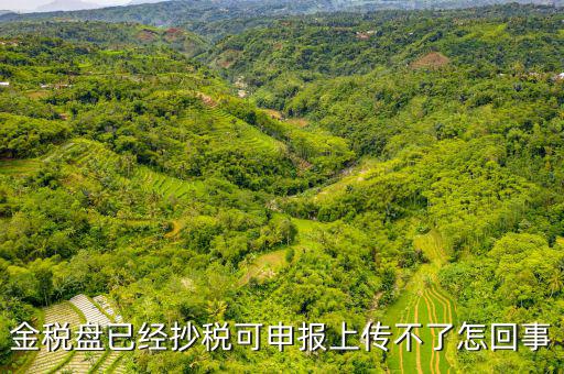 金稅申報(bào)發(fā)送不了是什么原因，金稅盤(pán)已經(jīng)抄稅可申報(bào)上傳不了怎回事