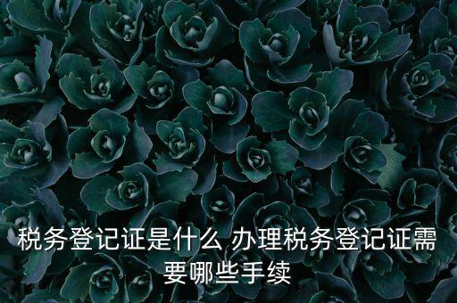 地稅局登記是什么，地稅辦理稅務(wù)登記需要哪些資料